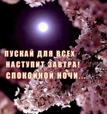 Спокойной ночи до завтра