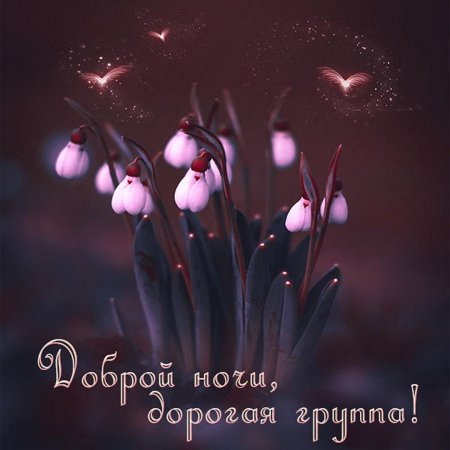 Спокойной ночи до завтра