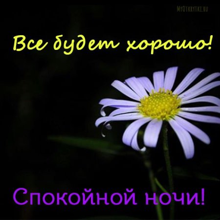 Спокойной ночи всё будет хорошо