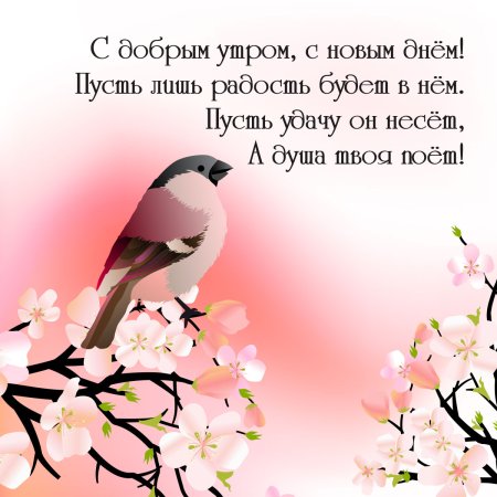 Красивые птицы с пожеланиями доброго утра