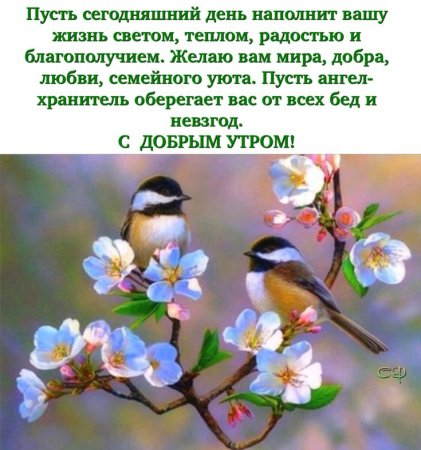 Птица на цветущей ветке