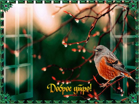 Доброе утро птички поют