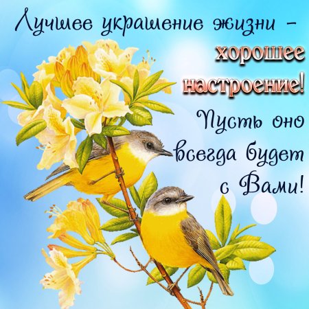 Пожелания на весь день