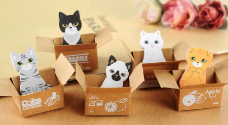 Коробка в виде котика