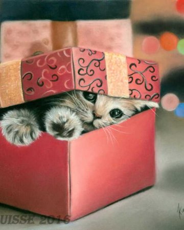 Котенок в коробочке