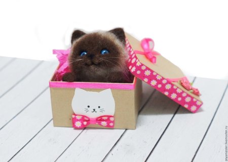 Подарок для кошки
