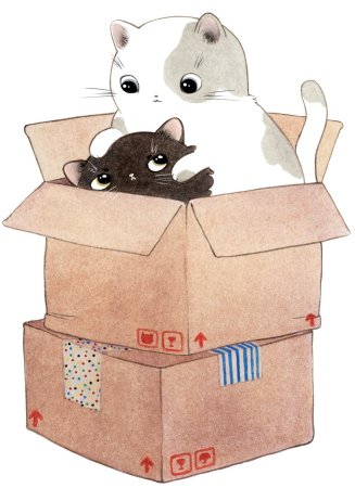 Котик в коробке