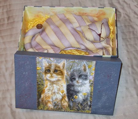 Игрушка для кошки "коробка"