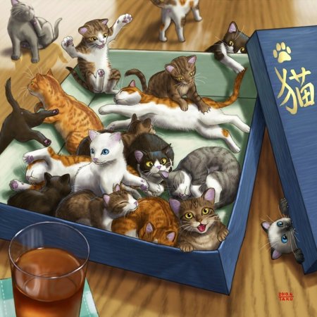 Много котят в коробке