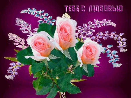 Прекрасные цветы для прекрасной женщины