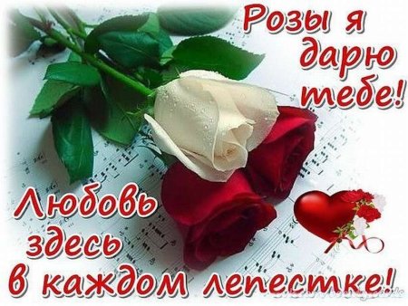 Розы для любимой стихи