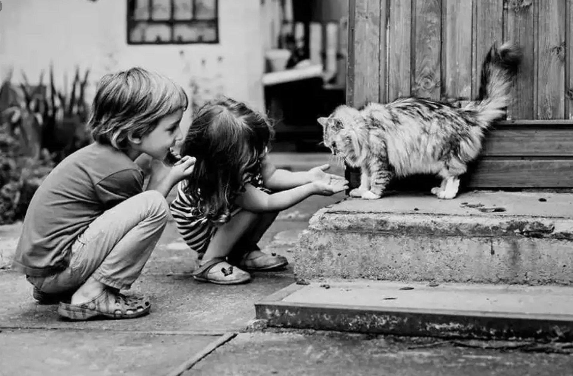 Трогательный мир. О доброте. Для детей. Животные. Доброта картинки. Доброта и любовь.