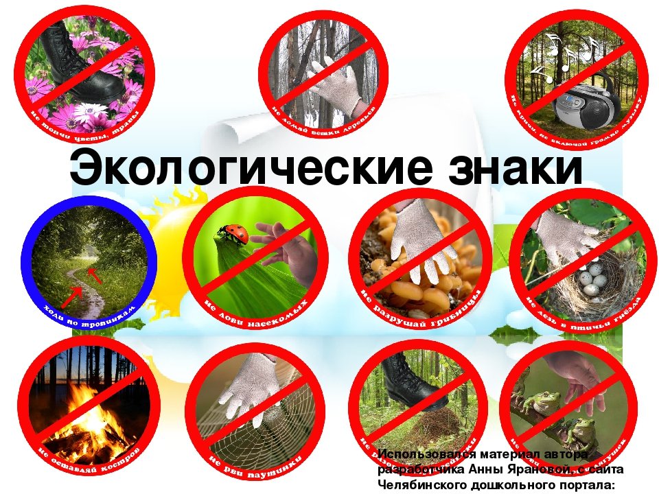 Экологические знаки для дошкольников. Правила поведения на природе. Экологические знаки. Знаки поведения в лесу. Запрещающие экологические знаки.