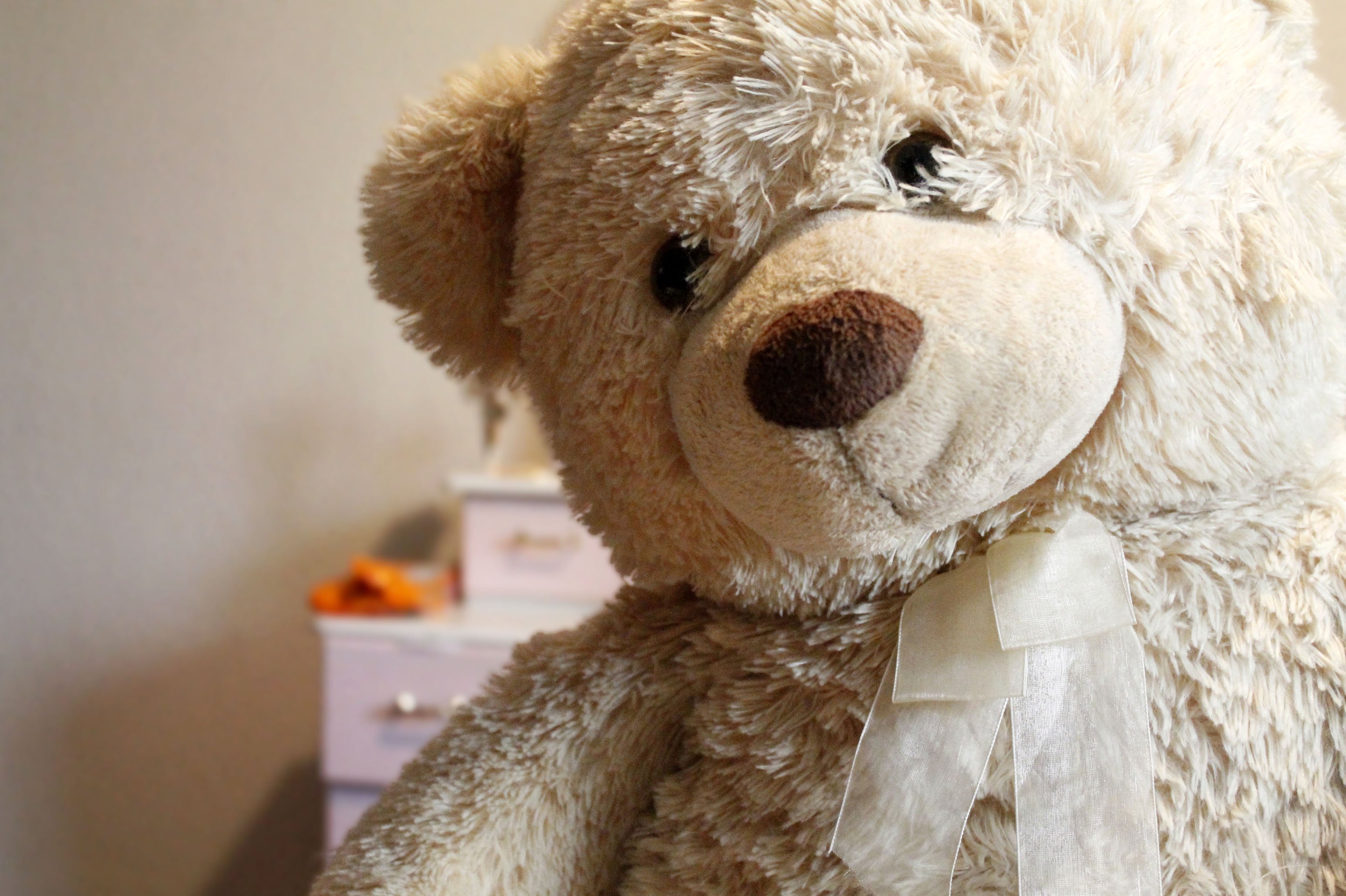 Плюшевый медведь картинки. Тедди Беар. Мишки Тедди Беар. Красивые игрушки. Плюшевый Медвежонок.