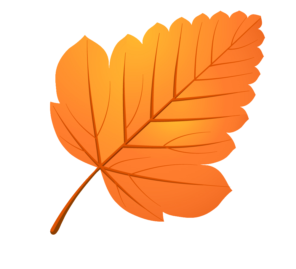 Осенний лист рисунок. Осенние листья. Осенние листочки. Осенний Лис. Красивые осенние листочки.