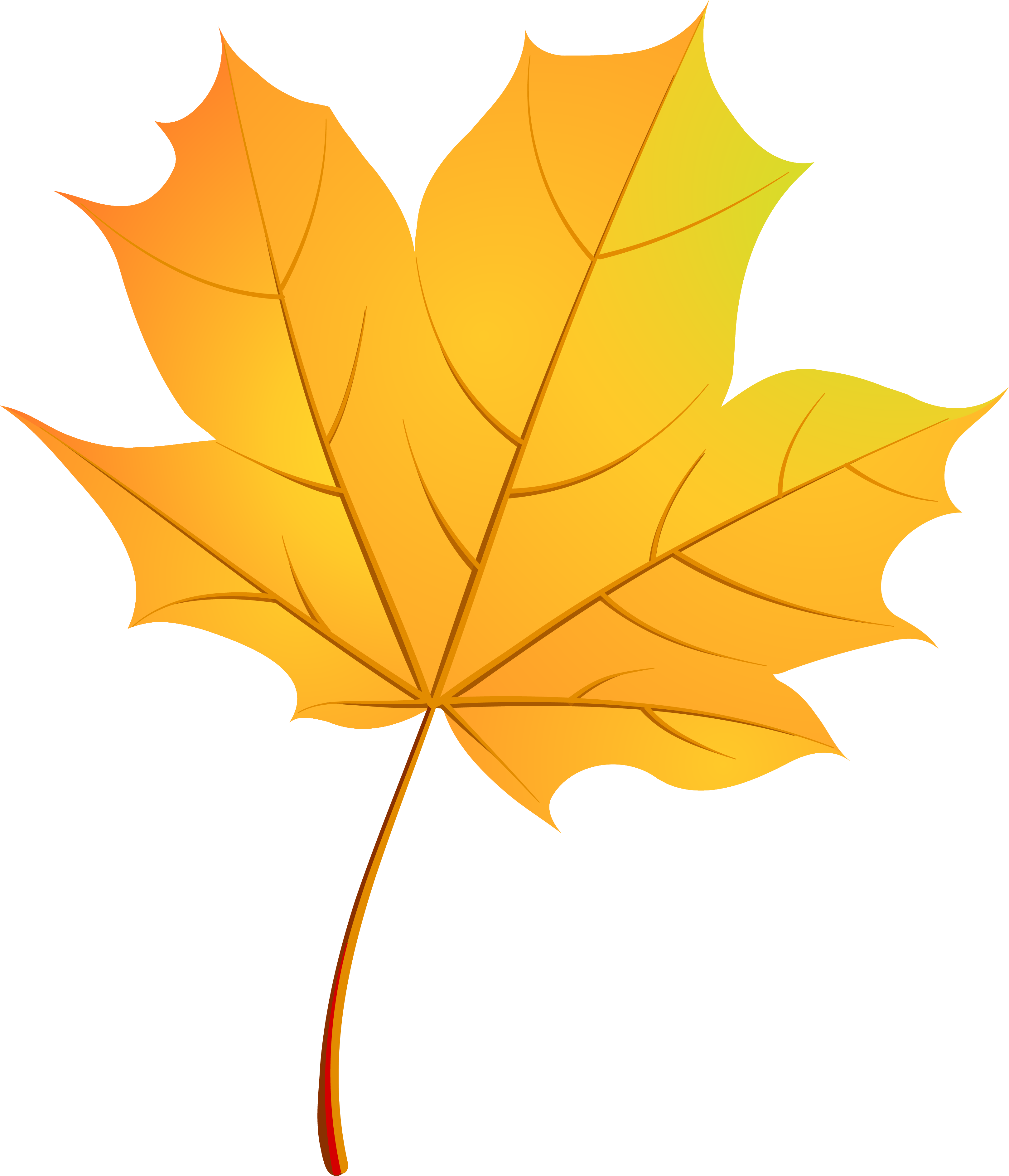 Клен картинки листьев. Кленовый лист. Осенний кленовый лист. Осенний Калиновый лист. Осенний кленовый листок.