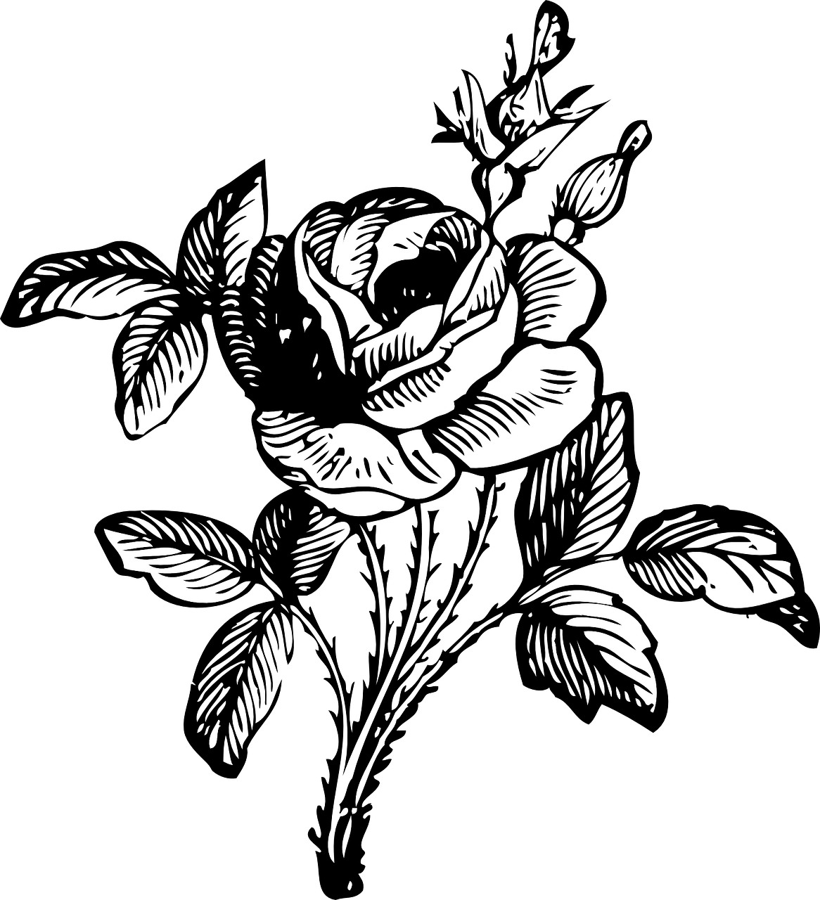 Черно белое изображение png. Цветы рисунок. Черно-белый цветок. Векторные цветы. Цветы чёрно белые.