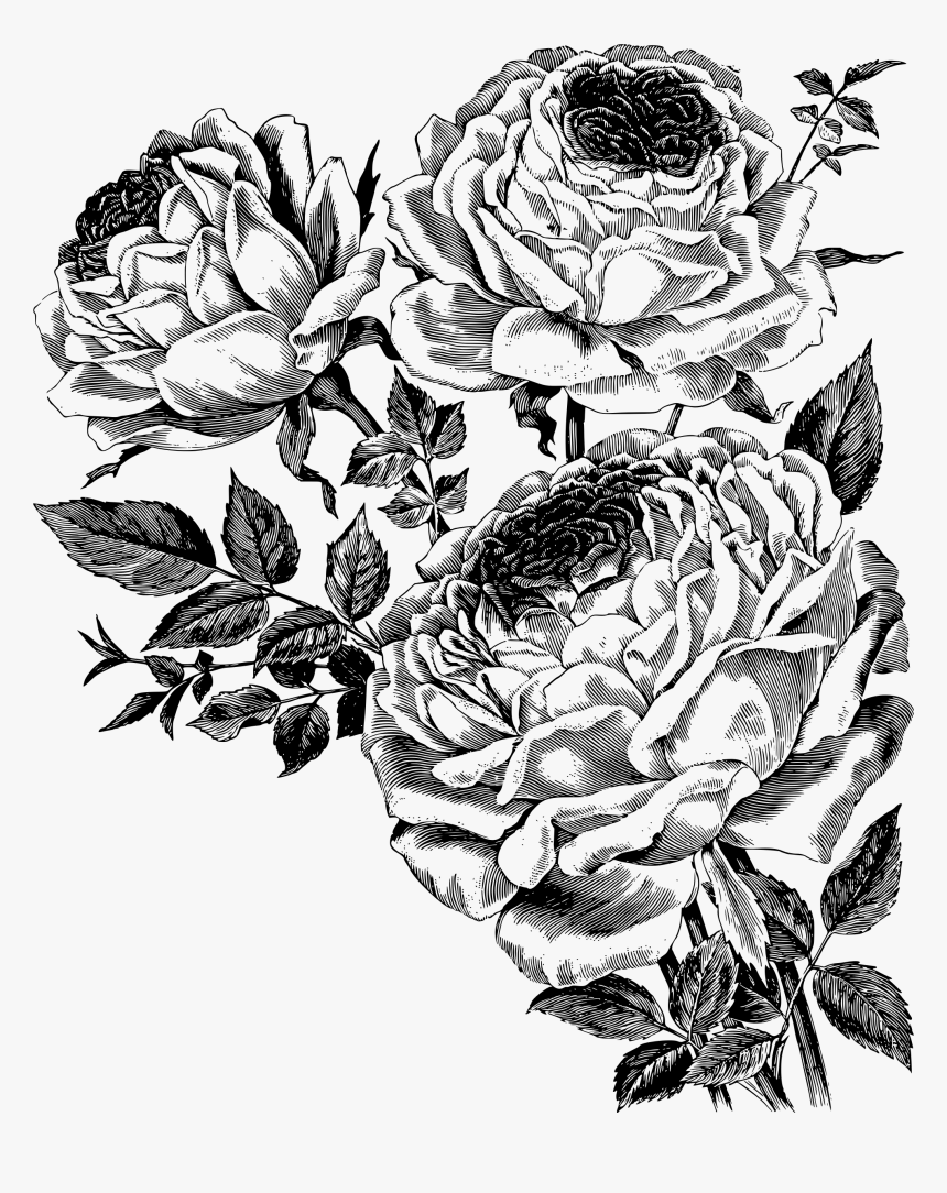 Черно белое изображение png. Черно-белый цветок. Цветы Графика. Эскизы цветов. Графика цветы черно белые.