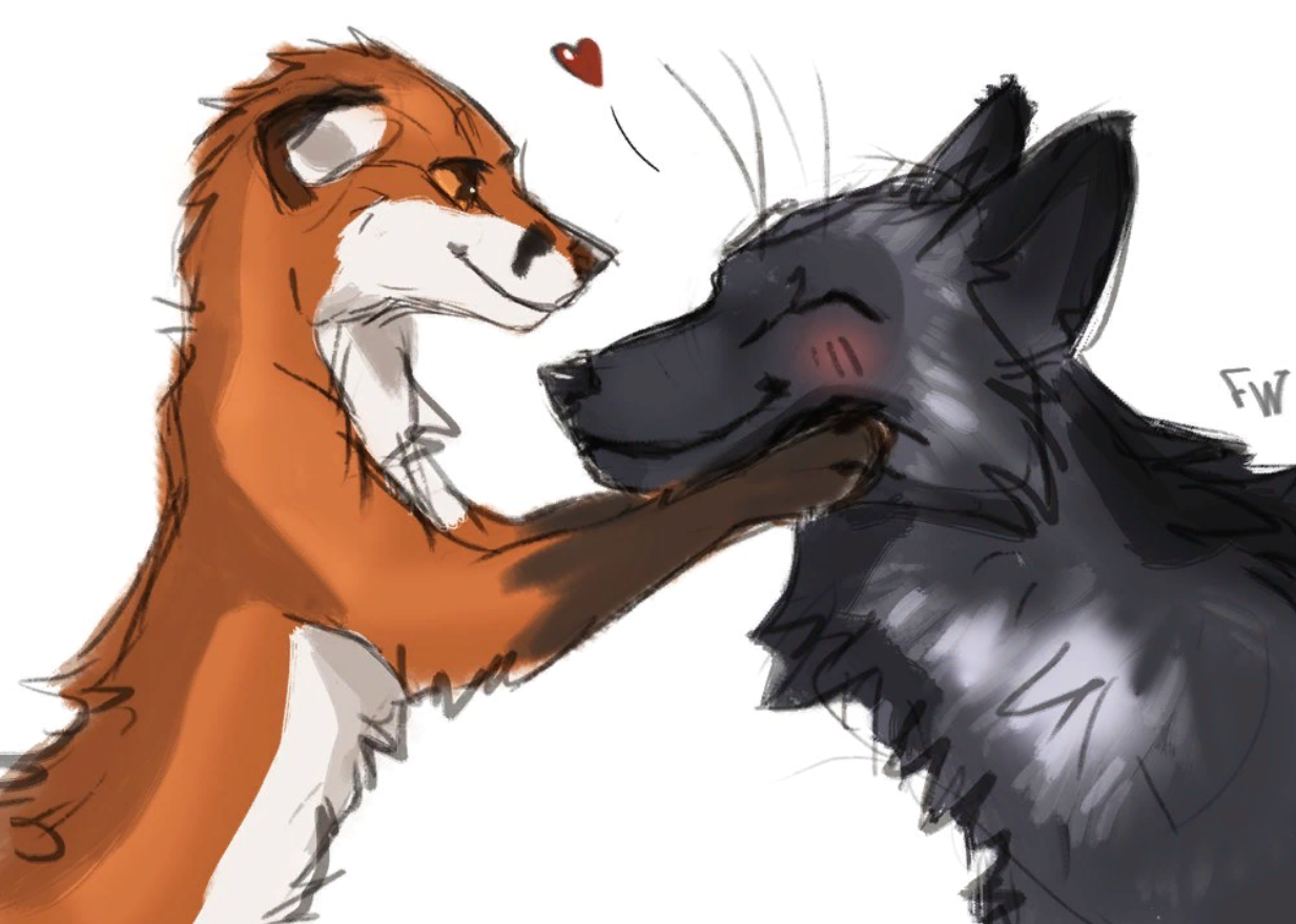 Волки лучше лис. Волк и лиса. Волк и лиса любовь. Любовь волка и лисы. Волк и лиса арт.