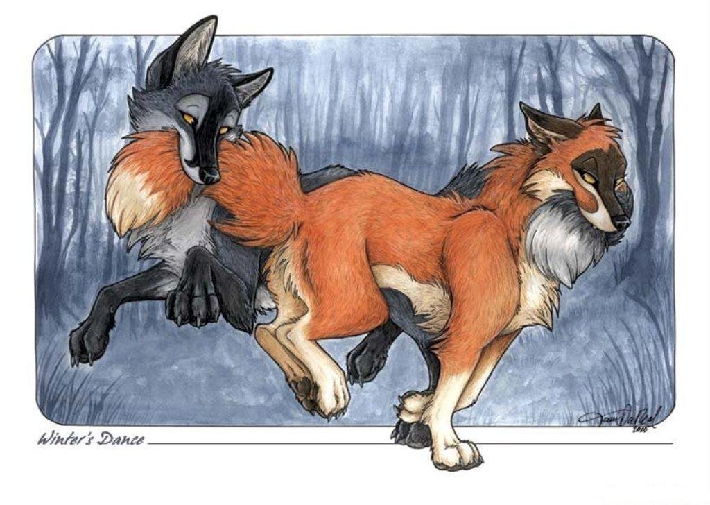 Волк и лиса взаимоотношения