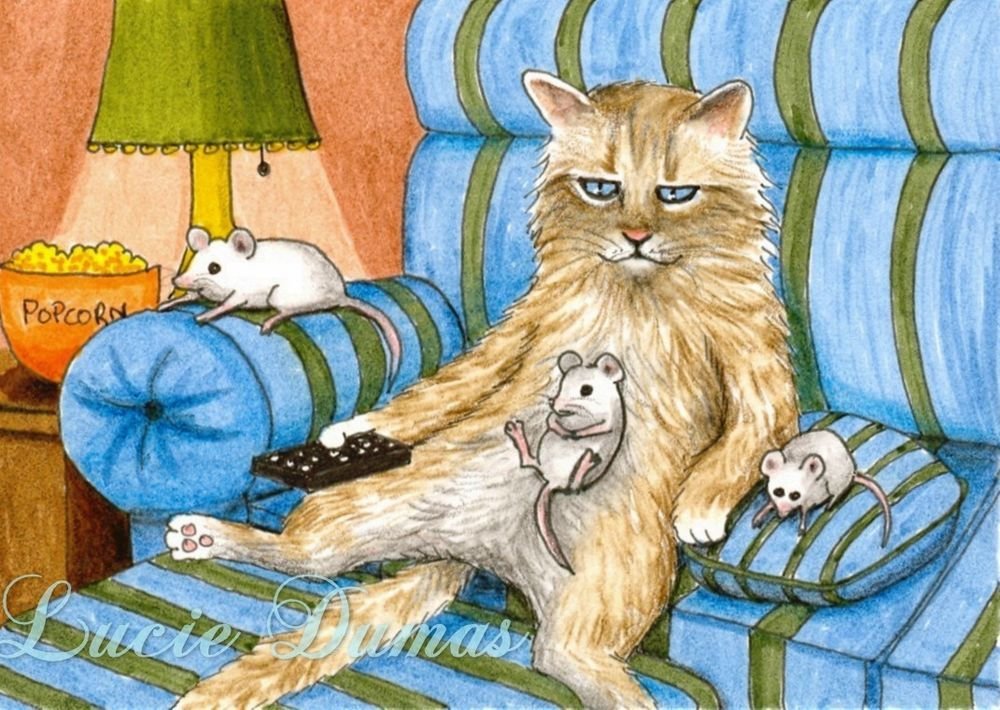 Как нарисовать кота дремота из 3. Кошка иллюстрация. Кот рисунок. Кошки картина забавные. Картины с кошками смешные.