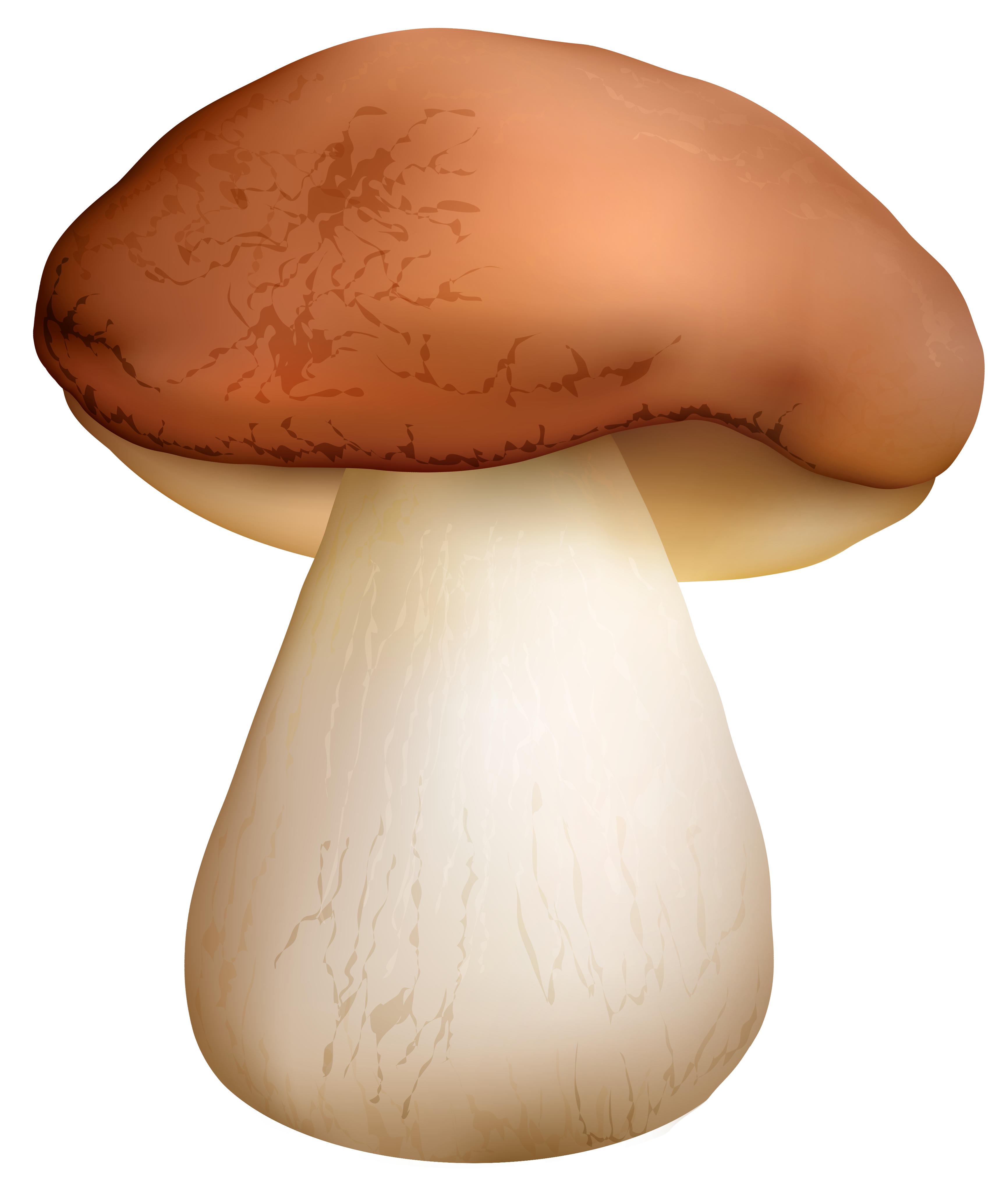 Картинка гриб для детей на прозрачном