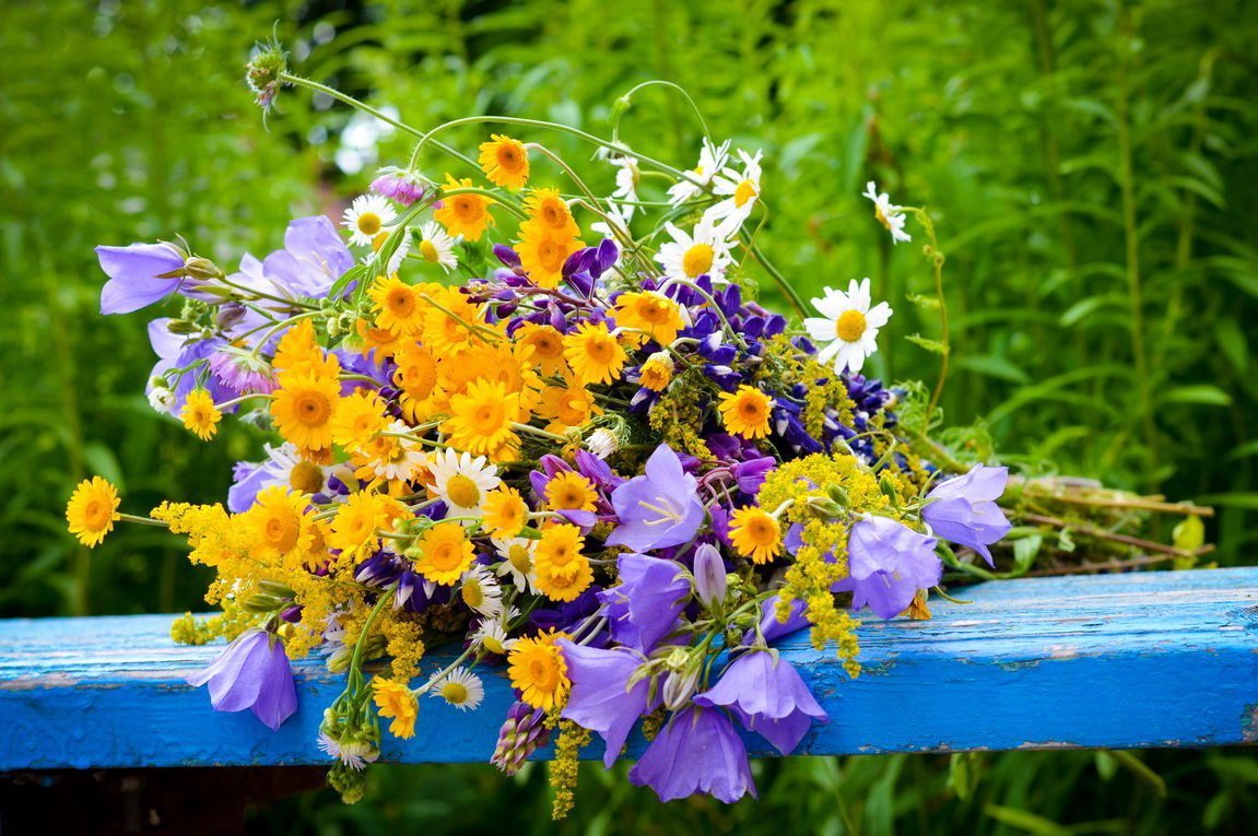 Летний день цветы. Витекс полевой цветок. Зверобой букет полевой. Букет полевых цветов. Красивый летний букет.