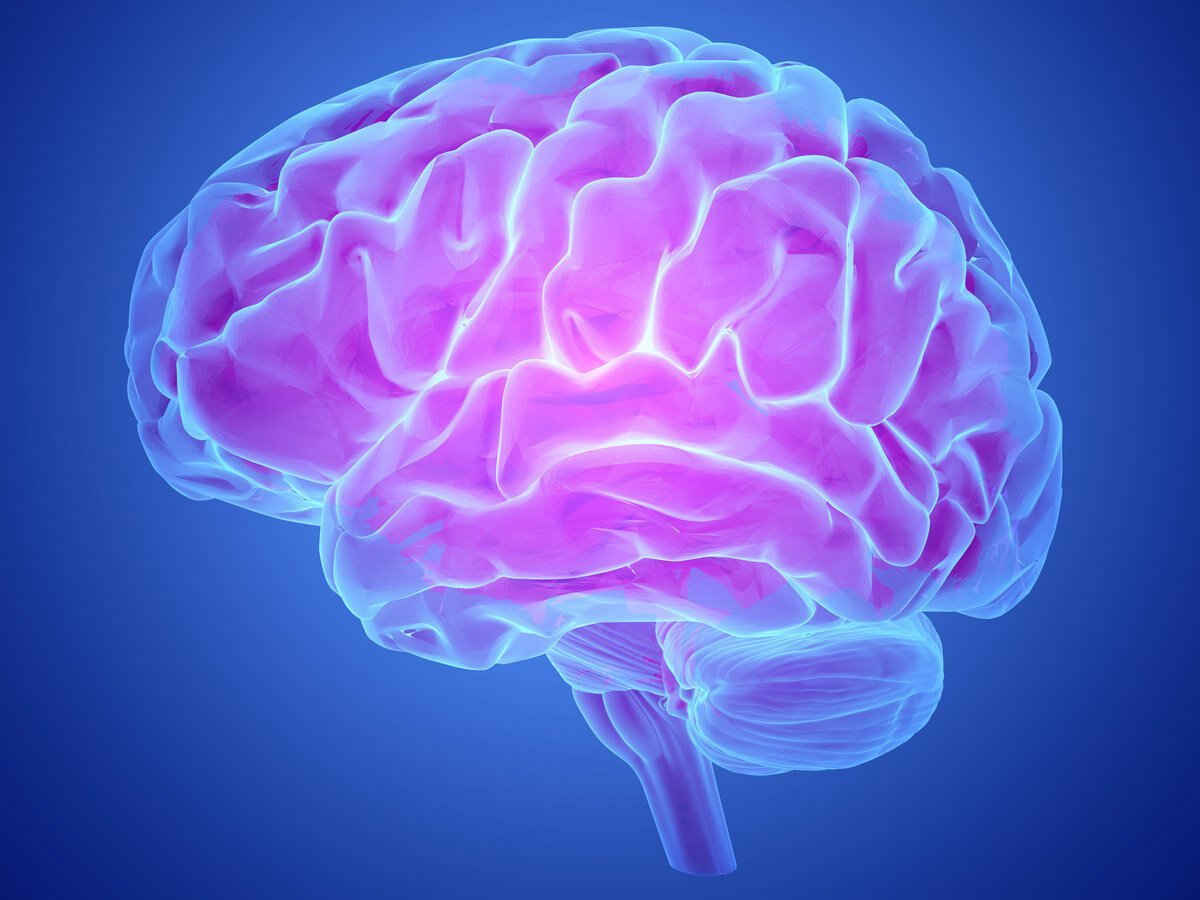 Видео про мозг. Красивый мозг. Головной мозг.