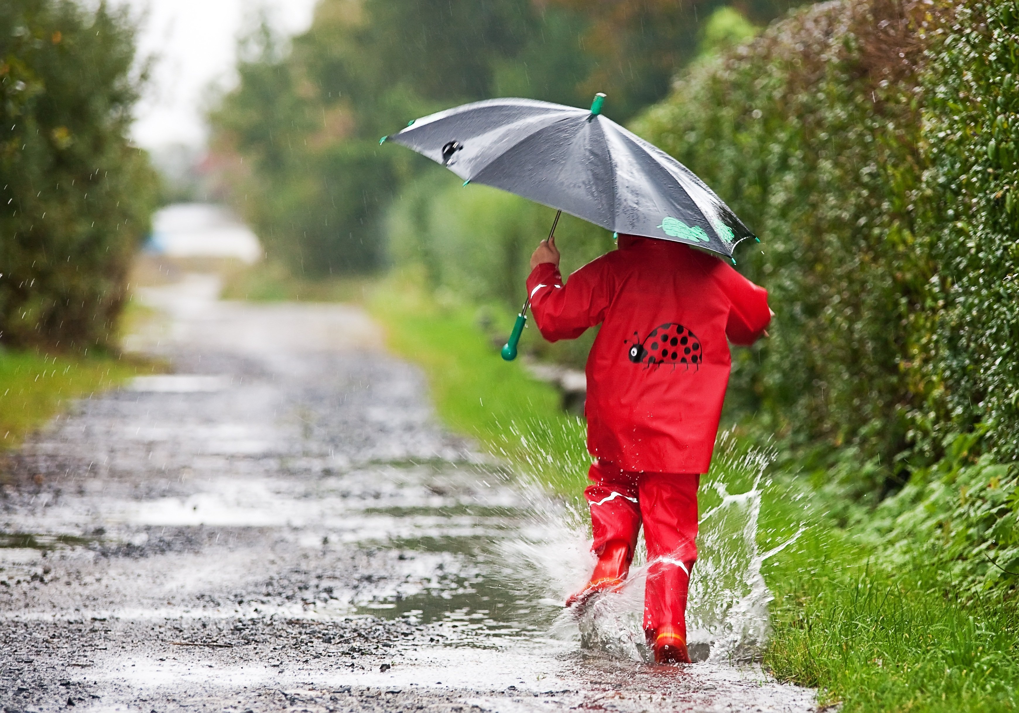 Дождливое лето. Дождливый день. Зонтик для детей. Дети под зонтом.