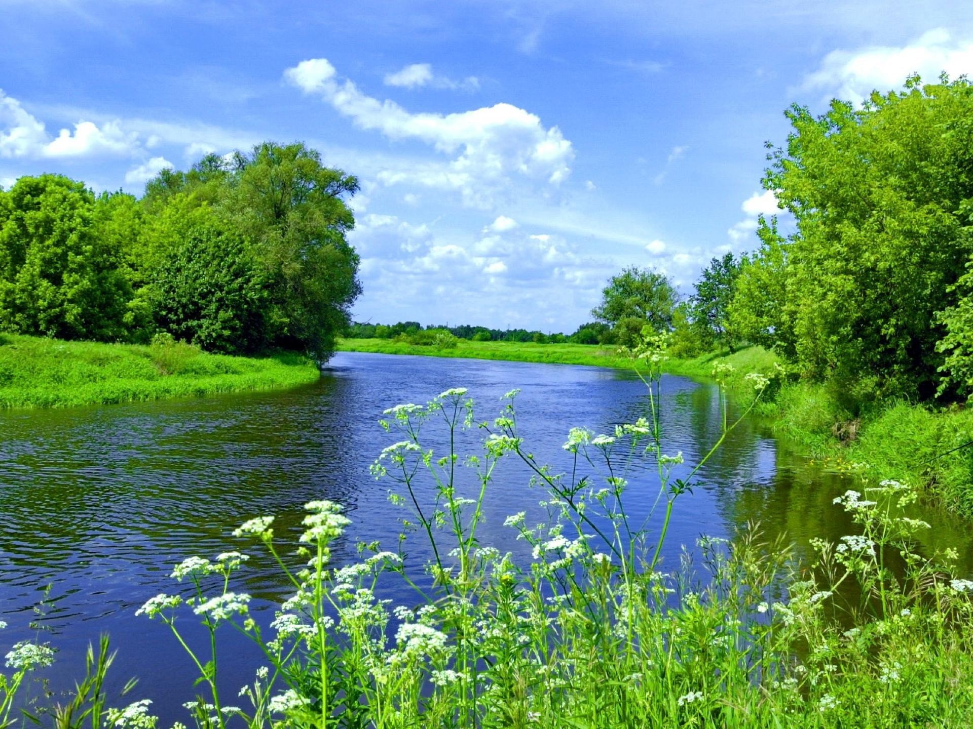 Картинки природы река. Уреки. Лето речка. Летом у реки. Лето река.