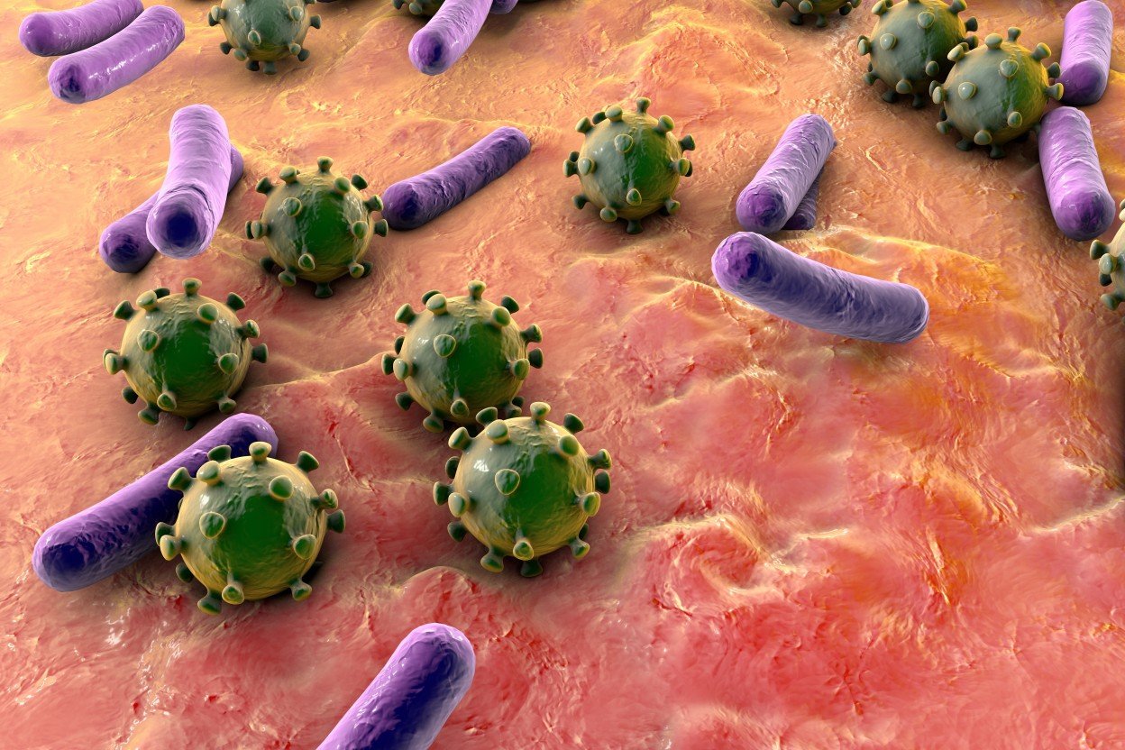 Бактерии можно обнаружить