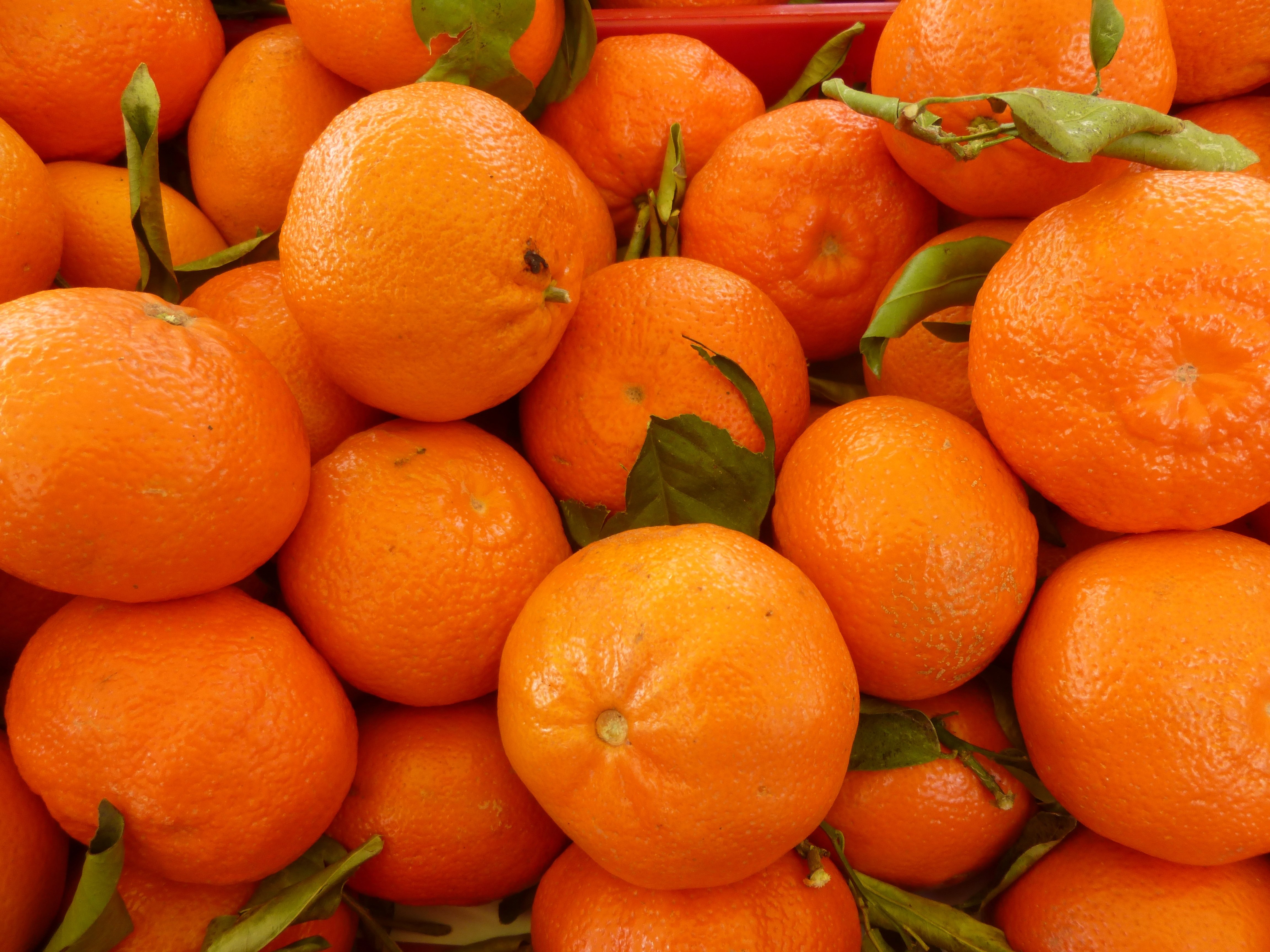 Среди мандаринов. Танжерин фрукт. Мандарины Jaffa. Оранжевый мандарин. Плод мандарина.