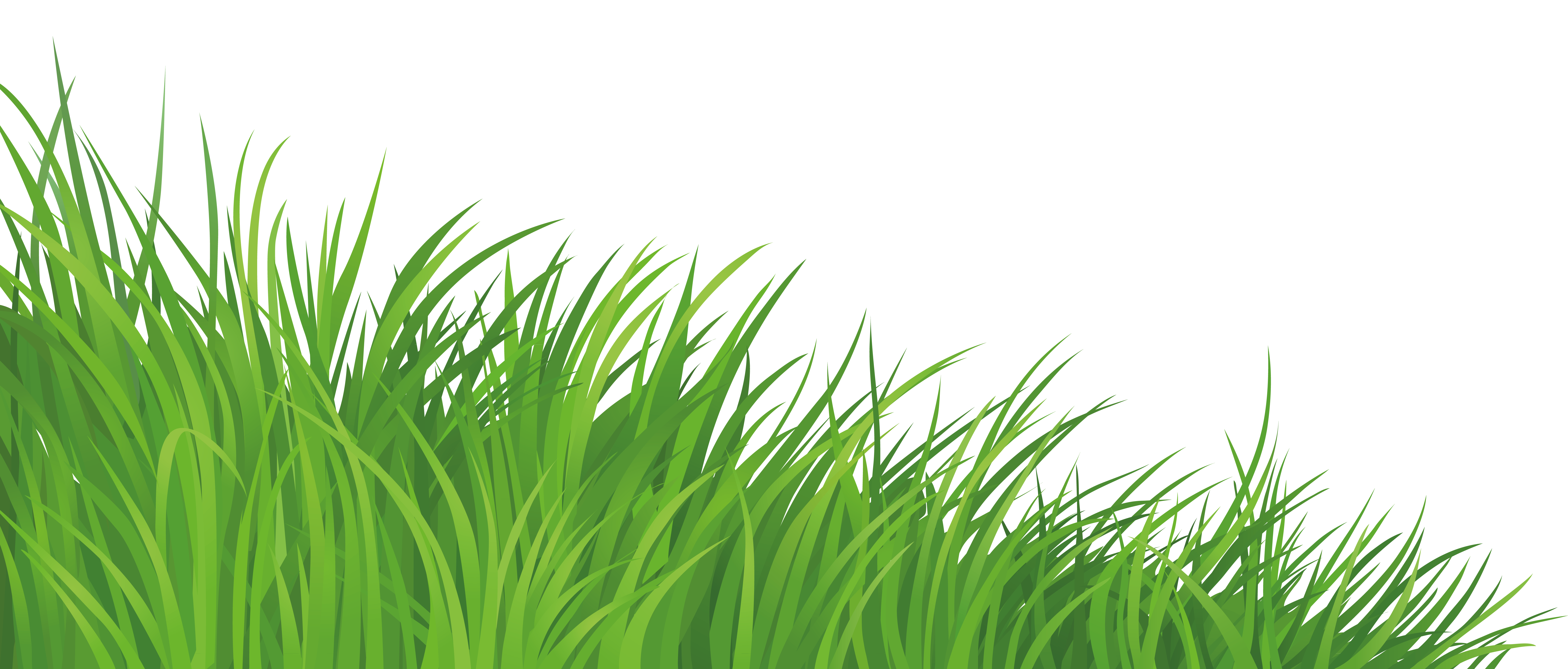 Трава нарисованная для детей. Трава на прозрачном фоне. Трава мультяшная. Трава рисунок. Травка на белом фоне.