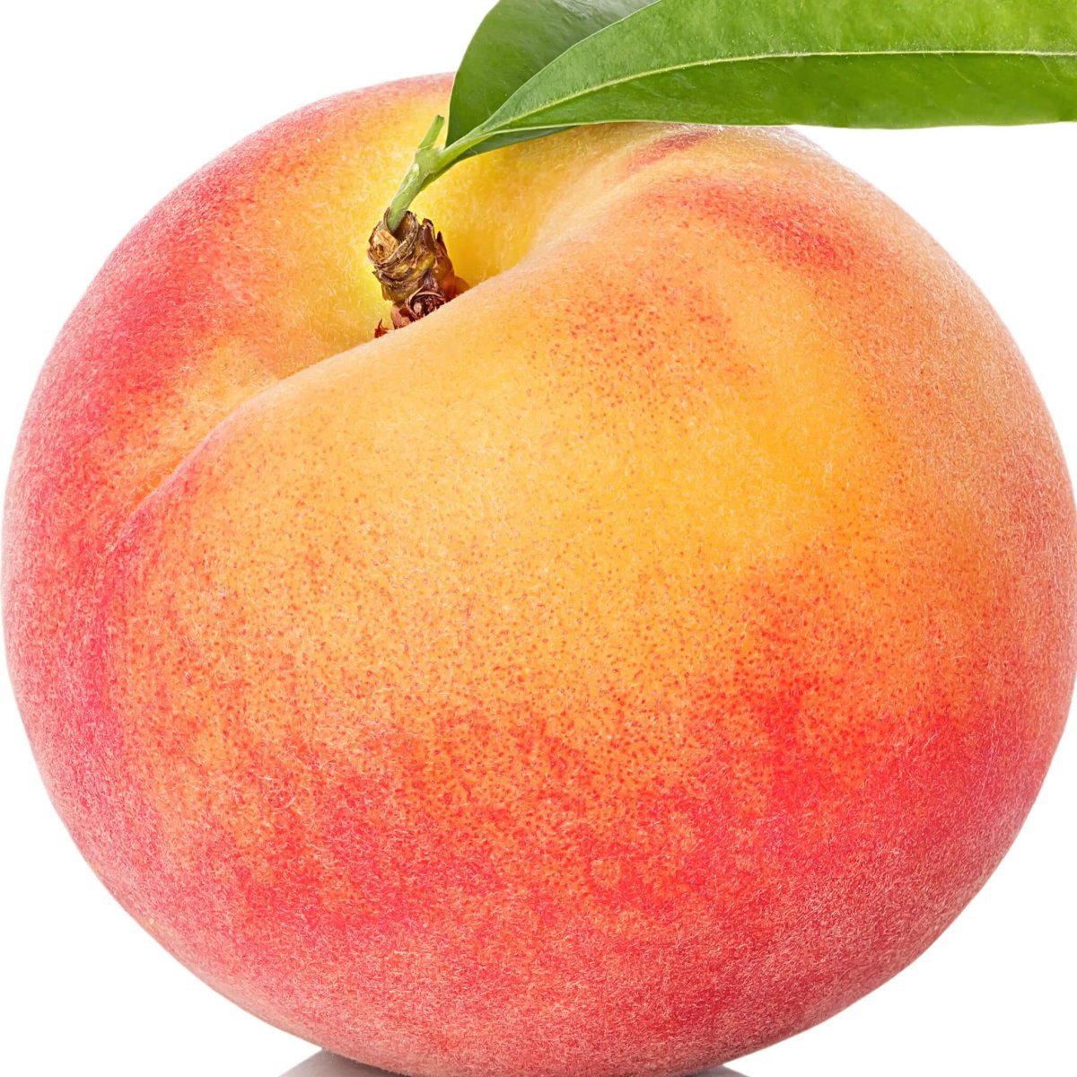 Персик какой фрукт. Фрукты персик нектарин. Нектарин персик яблоко. Нектарин манговый. Персик нектарин абрикос.