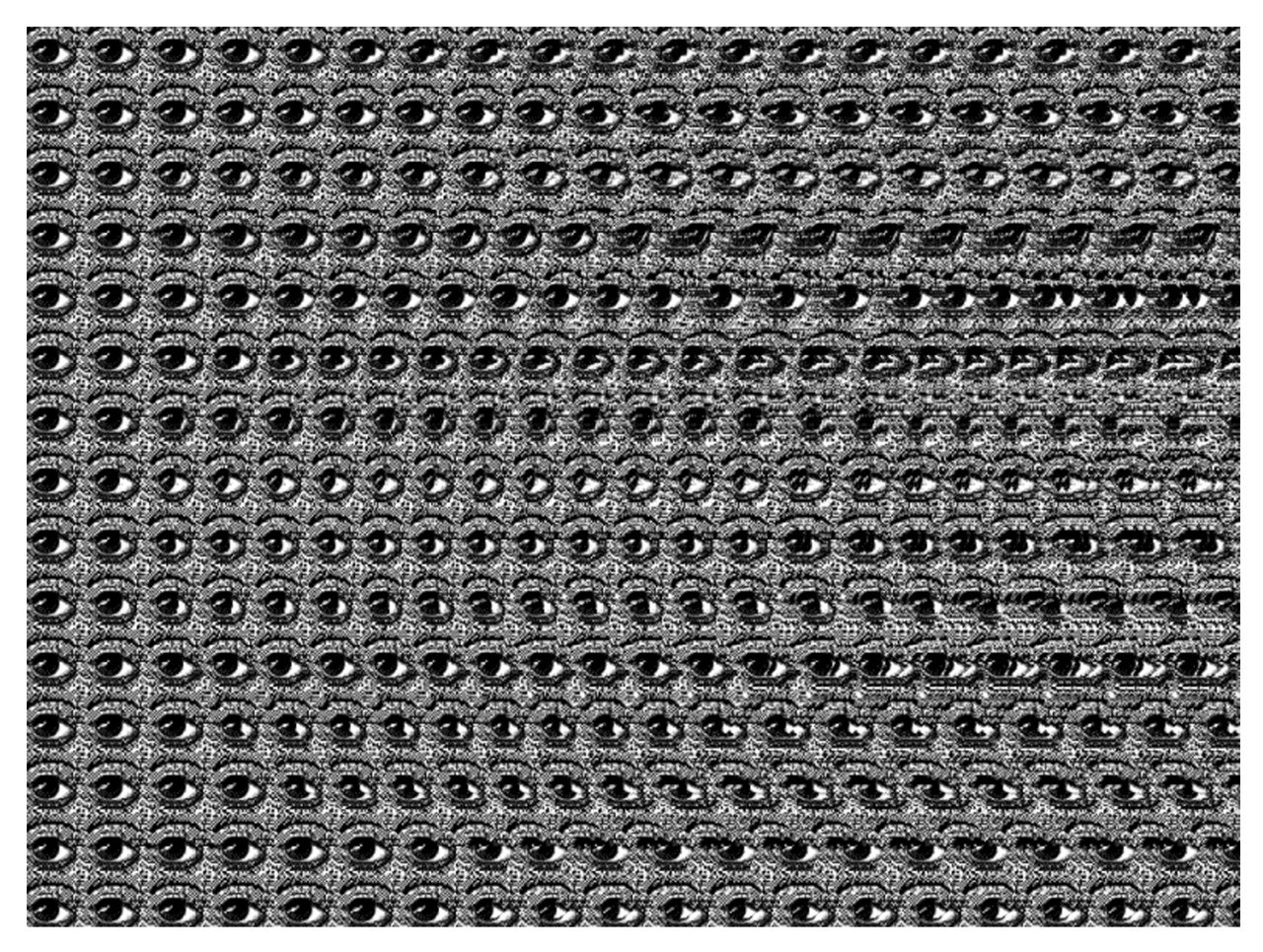 Стереограмма для глаз чёрно белая. Стереограммы объемные 3д. Магический глаз. 3д иллюзии. Проявляющие картинки