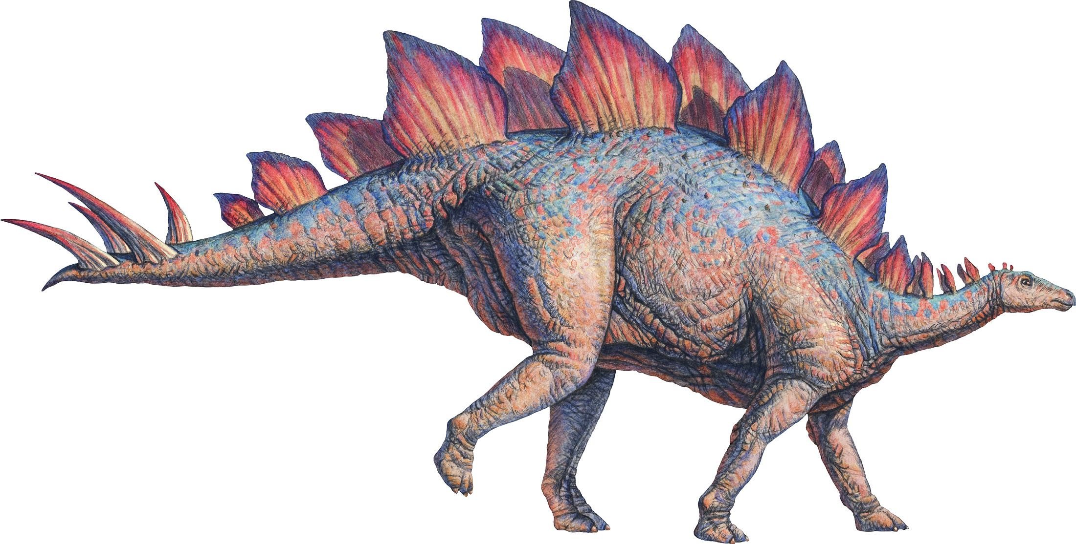 Травоядные динозавры с шипами