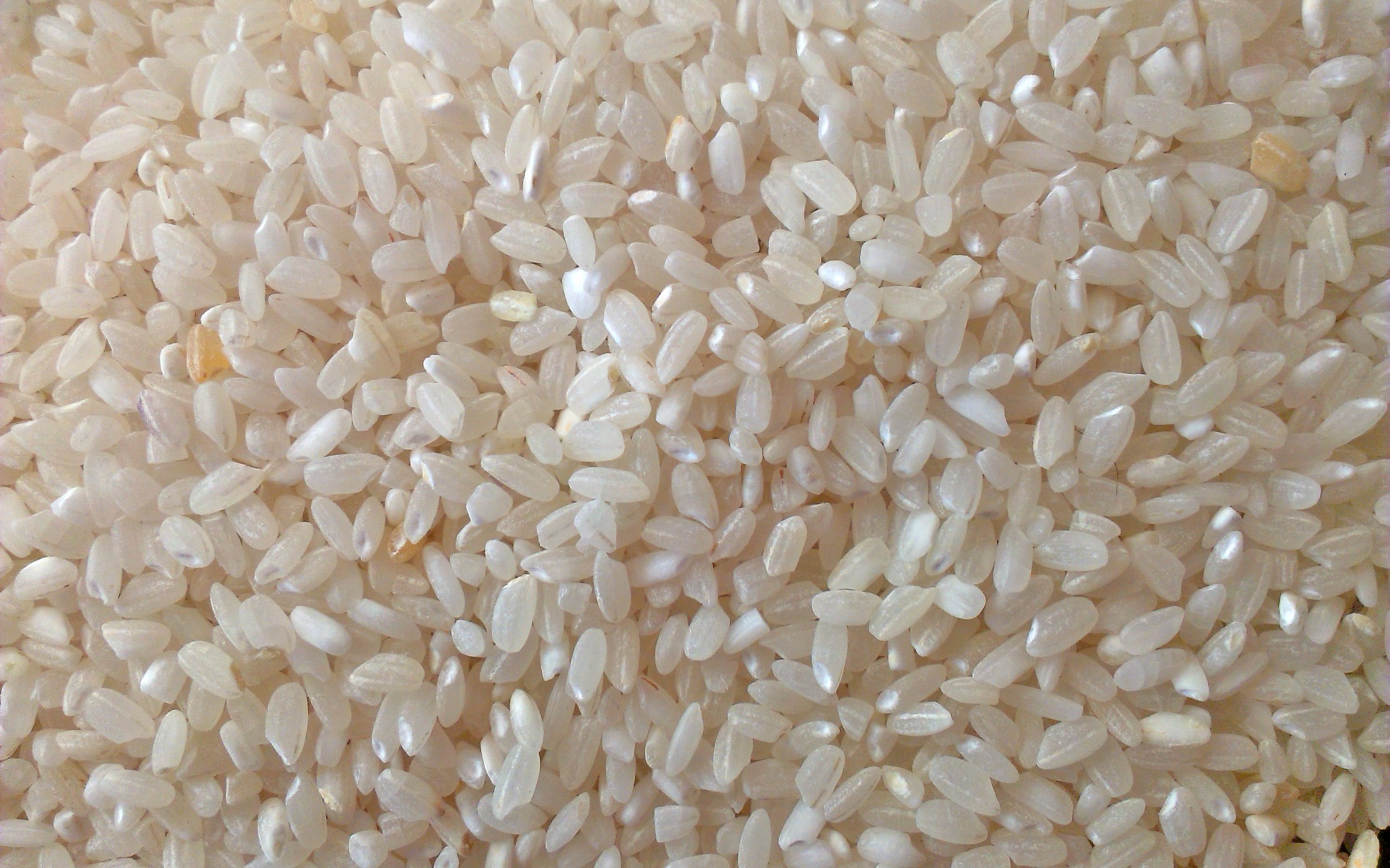 Среднезёрный рис