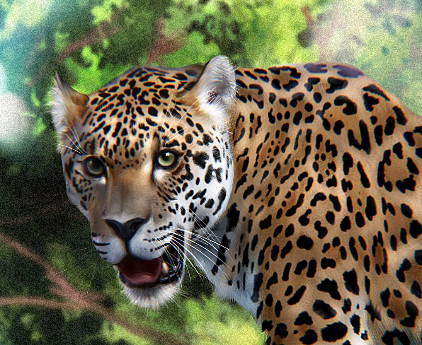 Как выглядит ягуар. Ягуар Южная Америка. Ягуар в Северной Америке. Ягуар животное Южной Америки. Перуанский Ягуар.