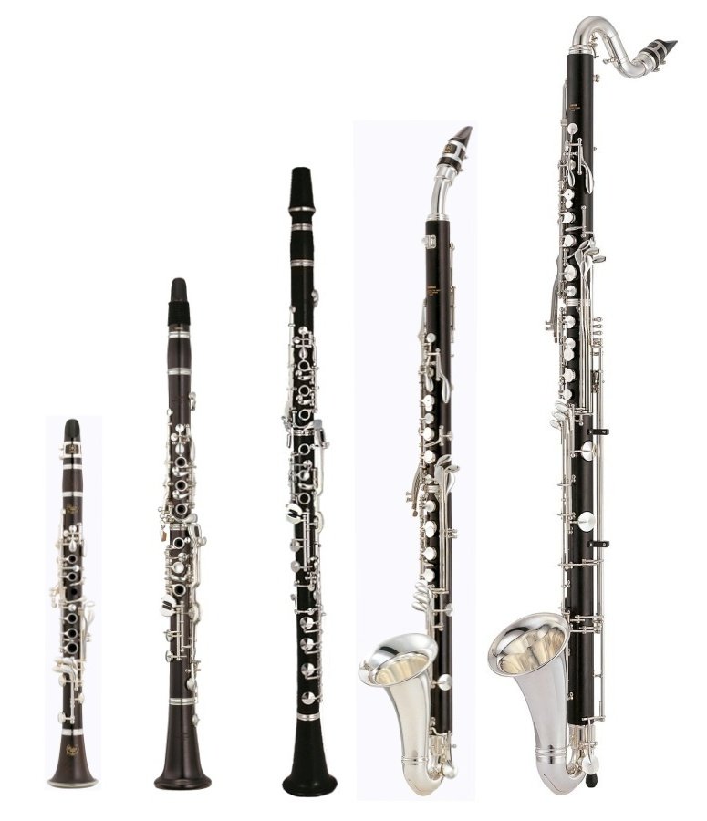 Каким инструментам относится кларнет. Кларнет и бас кларнет. Бас-кларнет деревянный духовой музыкальный инструмент. Кларнет Amati Kraslice Special. Кларнет Amati ACL 521-ok.