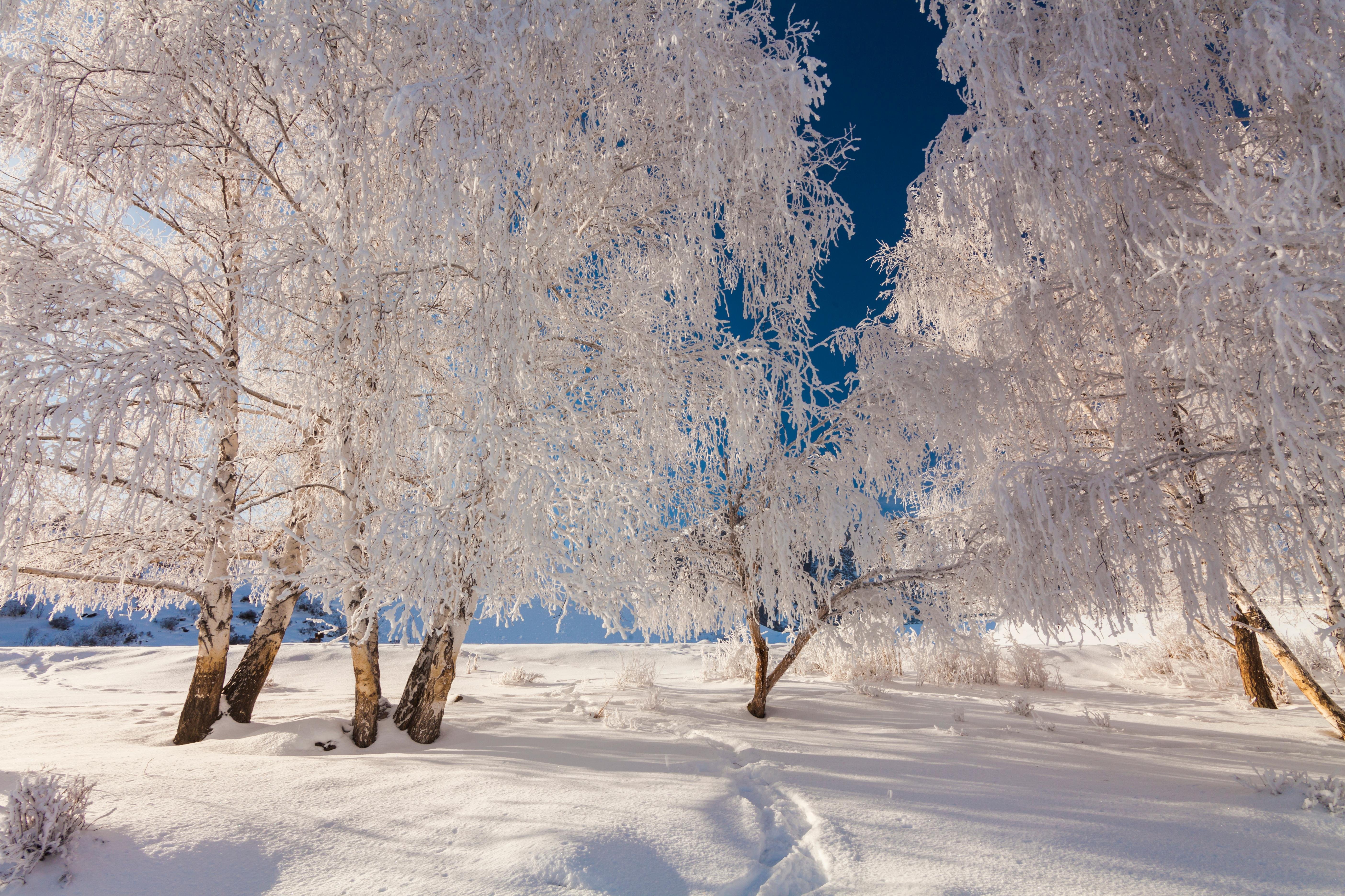 Природа зимой. Красивая зима. Красота зимы.