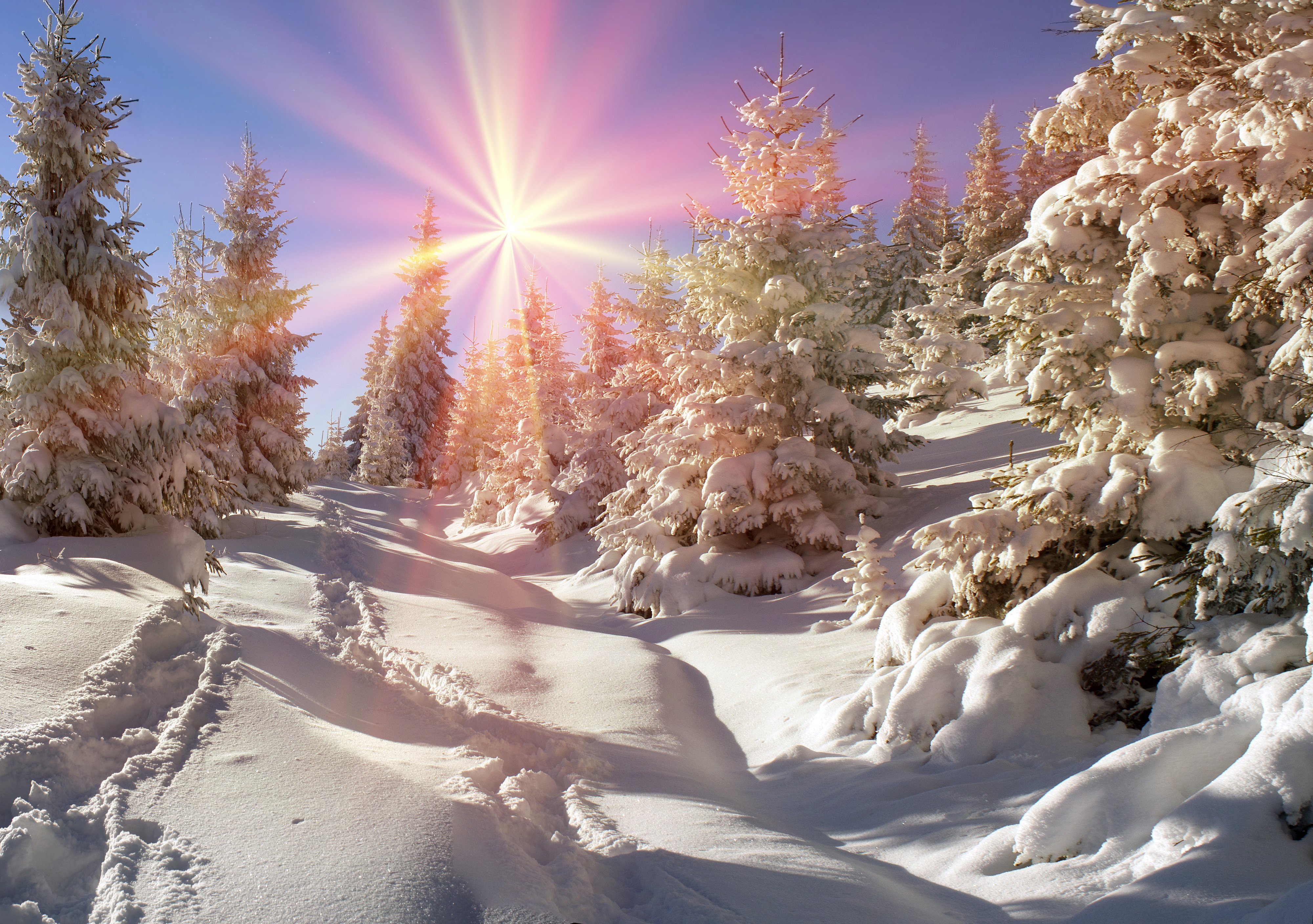 Теплая снежная зима. Красивая зима. Зимняя природа. Зима пейзаж. Зима солнце.
