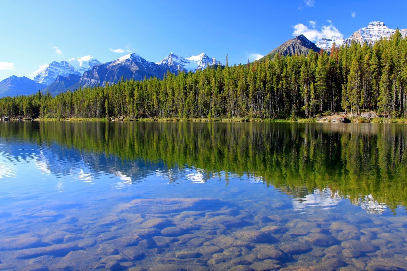 Покажи картинку озера. Озеро Маккей Канада. Озеро Флатхед штат Монтана. Куокансуо озеро. Большое Медвежье озеро Канада.