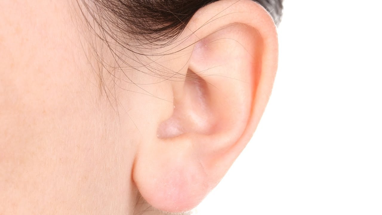 Показать картинку уха. Ухо человека на белом фоне. Левое ухо.
