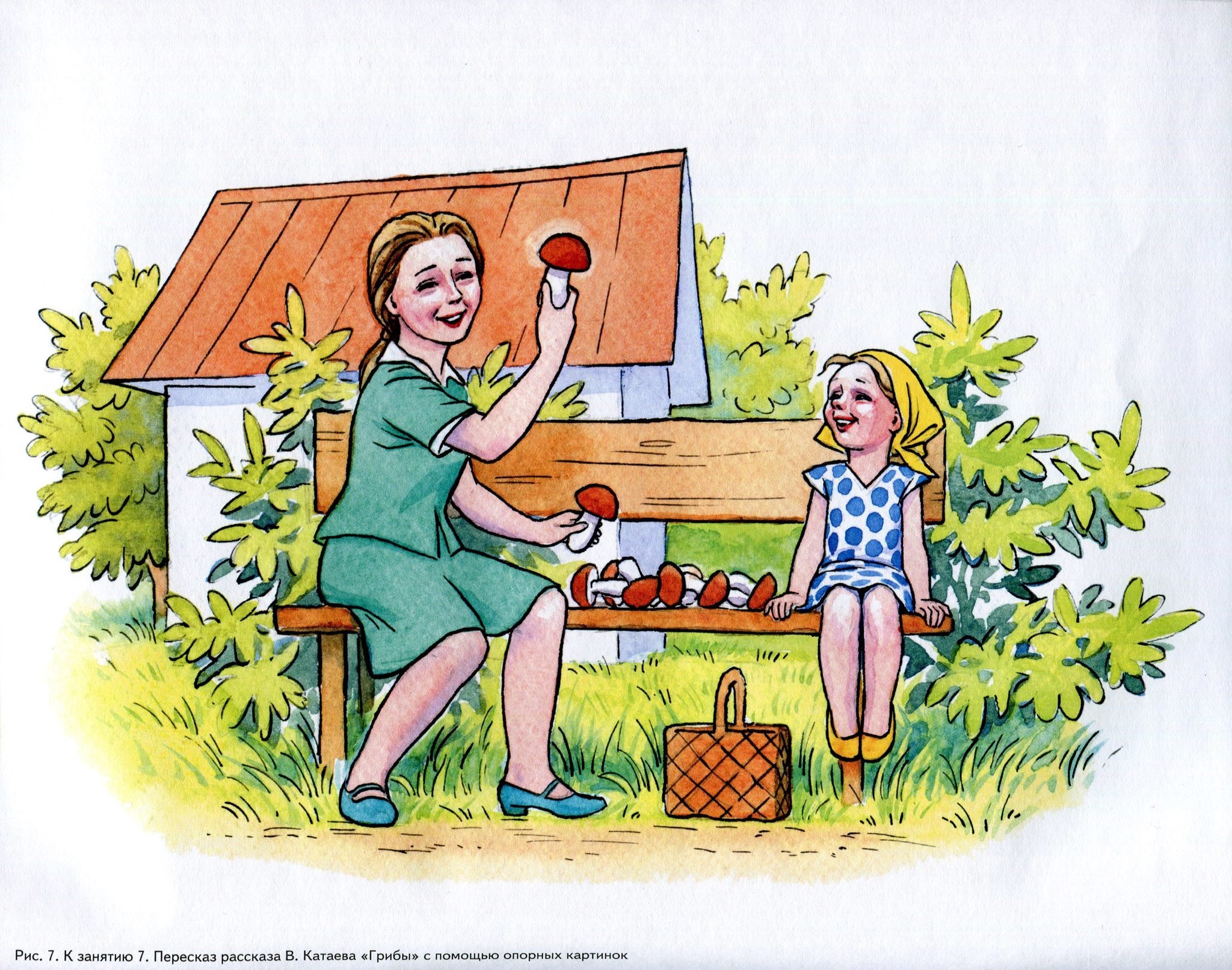 Сюжеты коротких рассказов. Катаев грибы. Иллюстрации к рассказу Катаева грибы. Сюжетные картинки. Сюжетные картины для детей.