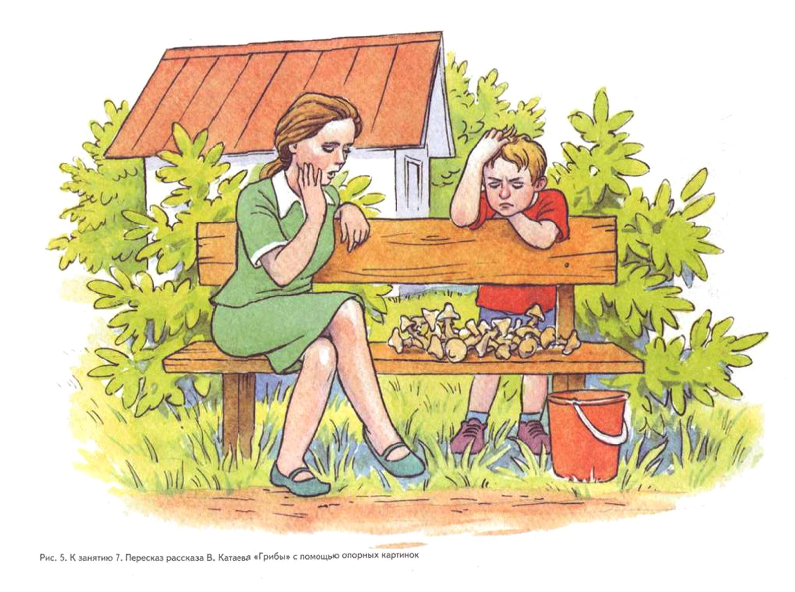 Рассказ позирует. Катаев грибы. Иллюстрации к рассказу Катаева грибы. Катаев по грибы. Рассказ грибы Катаев.