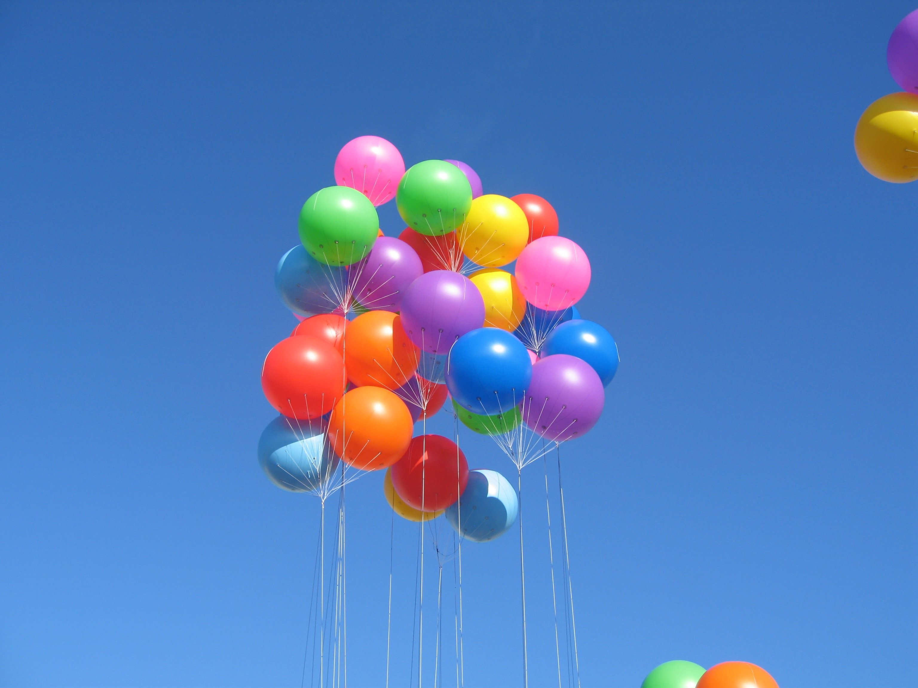 Воздушный шарик. Шары в небе. Воздушные шарики в небе. Разноцветные шары. Включи воздушных шариков