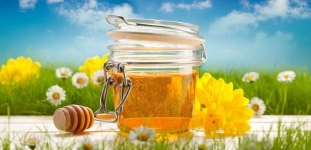 Мед на фоне природы