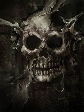 Красивый череп