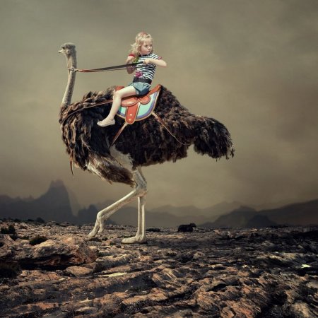 Фотохудожник Карас Айонут caras Ionut
