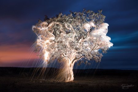 Необычная природа